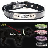Personalized Reflective Leather Pet ID Tag Collar Dog Leads & Collars Pet Clever 