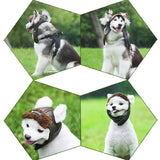 Pet Canvas Cap Hats Pet Clever 