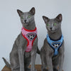 Cat Clothing For Cats