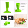 Dog Dental Care