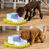 Pet Clever Drinking Fountain For Freshest Water! Cat Bowls & Fountains Pet Clever 