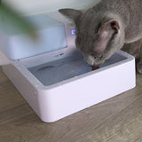 Pet Clever Drinking Fountain For Freshest Water! Cat Bowls & Fountains Pet Clever 