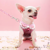 Pet Cute Harness Leash Set with Bell Dog Harness Pet Clever 