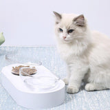 Pet Dispenser Feeder Bowl Cat Bowls & Fountains Pet Clever 