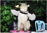 Pet Halloween Costume Cosplay White Wing for Dog Cat Dog Clothing Pet Clever 