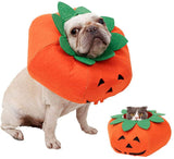 Pet Halloween Costumes Pumpkin Design Dog Collar Dog Clothing Pet Clever Medium 