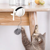 Pet Interaction Teaser Ball Cat Toys Pet Clever 