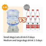 Pet Large Automatic Food & Water Dispenser Cat Bowls & Fountains Pet Clever 