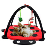 Pet Play Tent Bed Dog Beds & Baskets Pet Clever Beetle 