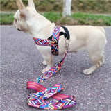 Pet Rainbow Harness Vest with Handle﻿ Dog Harness Pet Clever harness and leash XS C