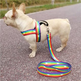 Pet Rainbow Harness Vest with Handle﻿ Dog Harness Pet Clever harness and leash XS A