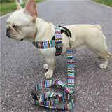 Pet Rainbow Harness Vest with Handle﻿ Dog Harness Pet Clever harness and leash XS B