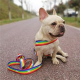 Pet Rainbow Harness Vest with Handle﻿ Dog Harness Pet Clever 