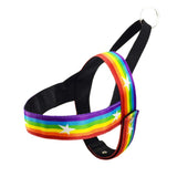 Pet Rainbow Harness Vest with Handle﻿ Dog Harness Pet Clever 