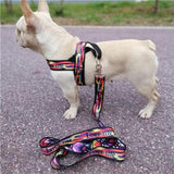 Pet Rainbow Harness Vest with Handle﻿ Dog Harness Pet Clever harness and leash XS D