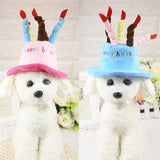 Pets Birthday Hat Hats Pet Clever 
