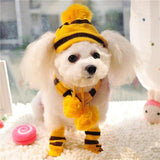 Pets Winter Knitted Striped Hat and Scarf - Priority Shipping Dog Clothing Pet Clever Yellow XXS 