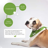 Plant Based Dog Wipes Cat Litter Boxes & Litter Trays Pet Clever 