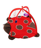 Playing Bed Tent Toy for Cats Cat Toys Pet Clever Lady Bug 