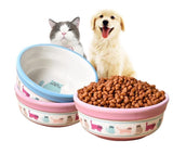 Pocket-Portable Travel Feeding Bowl Cat Bowls & Fountains Pet Clever 