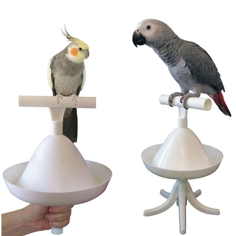 Portable Perch and Training Light Weight Bird Standing Toy Standing Birds Pet Clever 