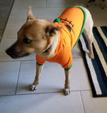 Pumpkin Pet Hoodie - Halloween Costume Dog Clothing Pet Clever 