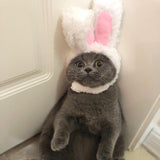 Rabbit Ears Pet Headwear Costume Cat Clothing Pet Clever 