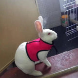 Rabbit Vest Harness With Leash Rabbits Pet Clever 