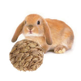 Rabbit Woven Grass Ball with Bell Chew Toy Rabbits Pet Clever 