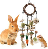 Rattan Ring with Snacks for Guinea Pigs Chinchillas Hamsters Rats and Other Small Pets Teeth Grinding Hamster Pet Clever 