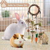 Rattan Ring with Snacks for Guinea Pigs Chinchillas Hamsters Rats and Other Small Pets Teeth Grinding Hamster Pet Clever 