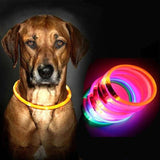Rechargeable Glowing Pet Collar Dog Leads & Collars Pet Clever 