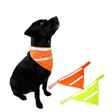 Reflective Pet Scarf Scarfs Pet Clever 