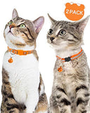 Reflective Small Pet Collar Artist Collars & Harnesses Pet Clever 