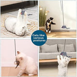 Retractable Cat Teaser Toy Cat Pet Clever 