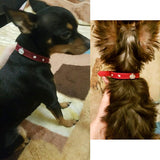 Rhinestones Crown Pet Collar Artist Collars & Harnesses Pet Clever 