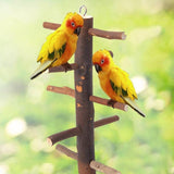 Rotating Ladder Climbing Stand Birds Toy Standing Birds Pet Clever 
