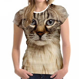 Round Neck Shirts with Cat Print Designs Cat Design T-Shirts Pet Clever Style 2 S 