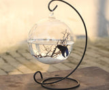 Round Shape Hanging Glass Fish Bowl with Rack Holder Fish Tank Pet Clever 