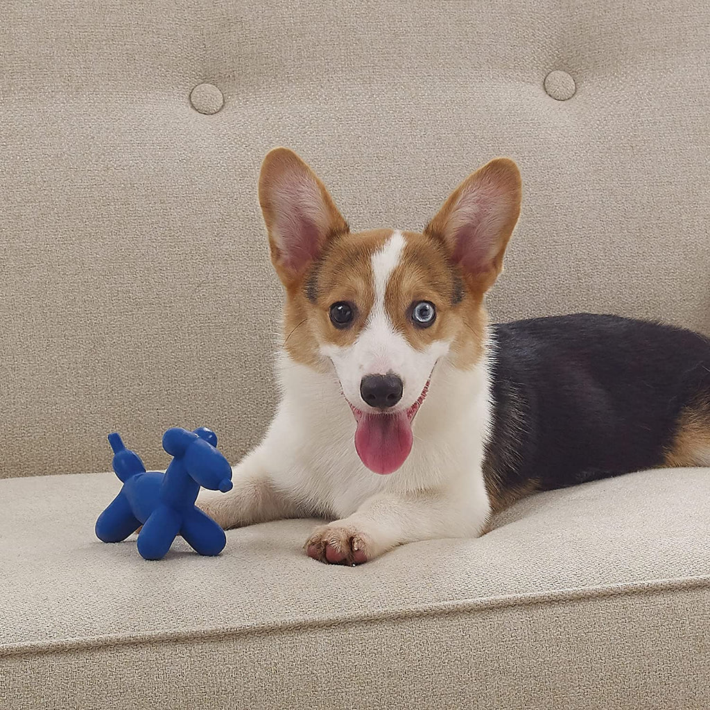 Rubber Balloon Dog Toy - Pet Clever