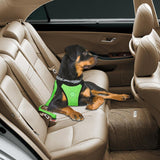 Safety Vehicle Harness Belt With Adjustable Straps Dog Carrier & Travel Pet Clever 