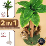 Scratching Post 33 inch Tall for Indoor Cats with Sisal Rope Cat Pet Clever 