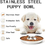 Set of 2 Puppy Feeder Dog Food and Water Bowl Dog Bowls & Feeders Pet Clever 