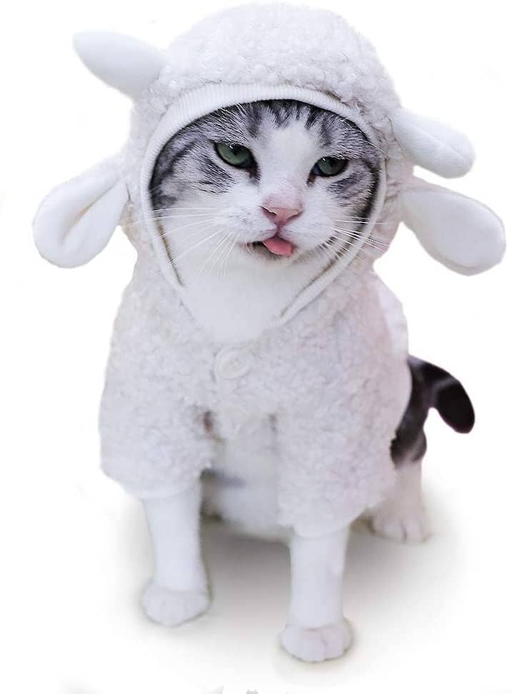 Sheep Cat Halloween Costumes Cat Clothing Pet Clever S 