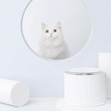 Smart Pet Water Dispenser Cat Bowls & Fountains Pet Clever 