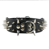 Spiked Leather Dog Collar(15 Colors) Spiked Leather Dog Collar(15 Colors) Pet Clever S Black 