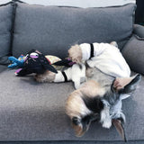 Super Absorbent Pet Bathrobe with Hoodie Towels Pet Clever 