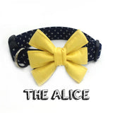 The Alice™ Fashion Pet Set of Collar & Leash Artist Collars & Harnesses Pet Clever 