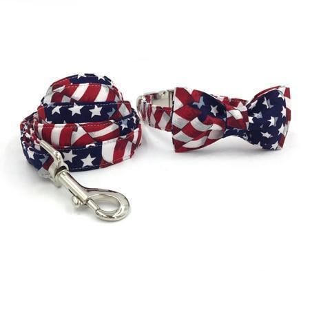 The American™ Fashion Pet Set of Collar & Leash Artist Collars & Harnesses Pet Clever collar bow and leash XS 