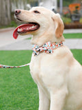 The Banner™ Fashion Pet Set of Collar & Leash Rose Gold Buckle Artist Collars & Harnesses Pet Clever 